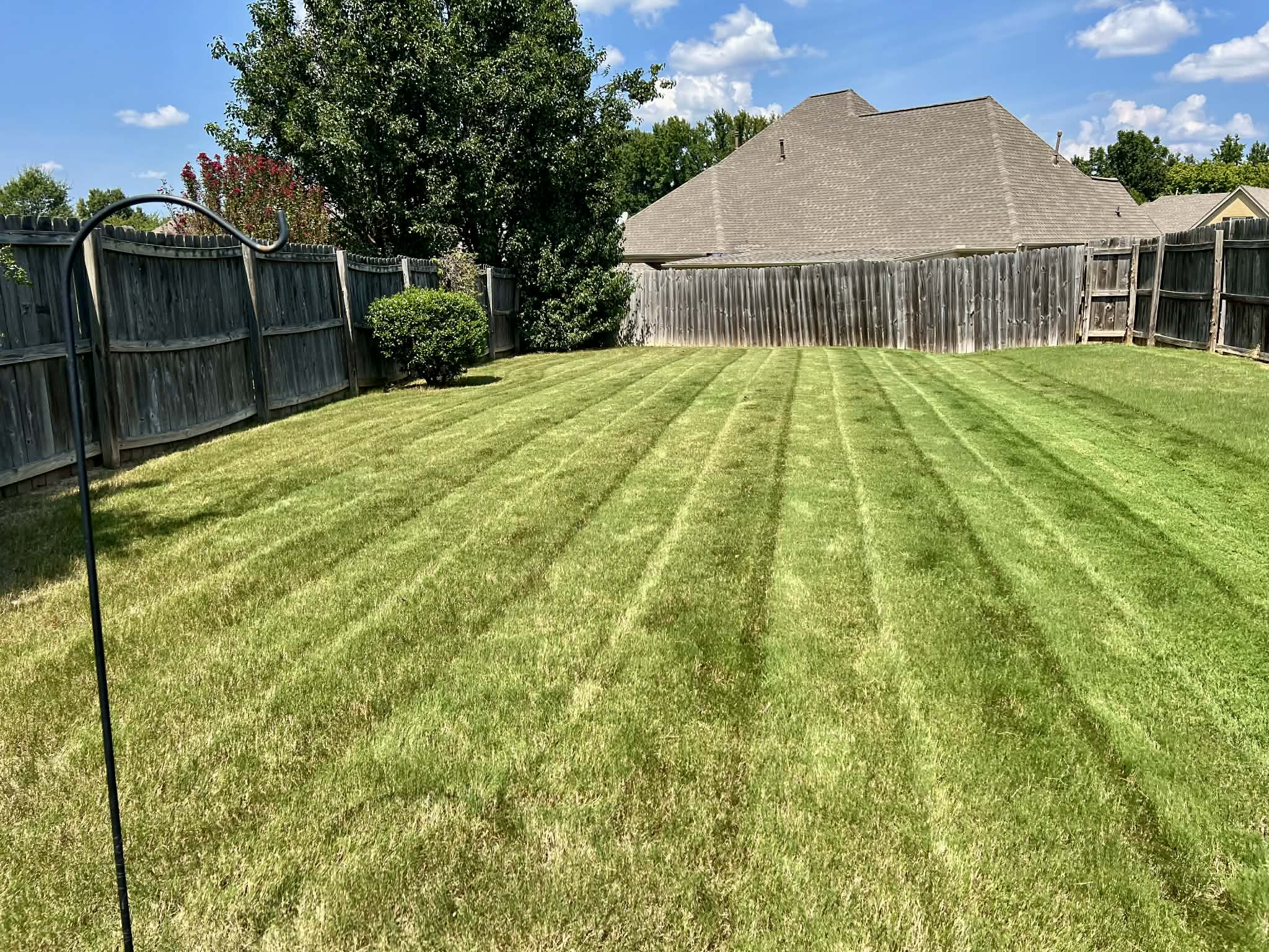 Pristine Lawn Mowing