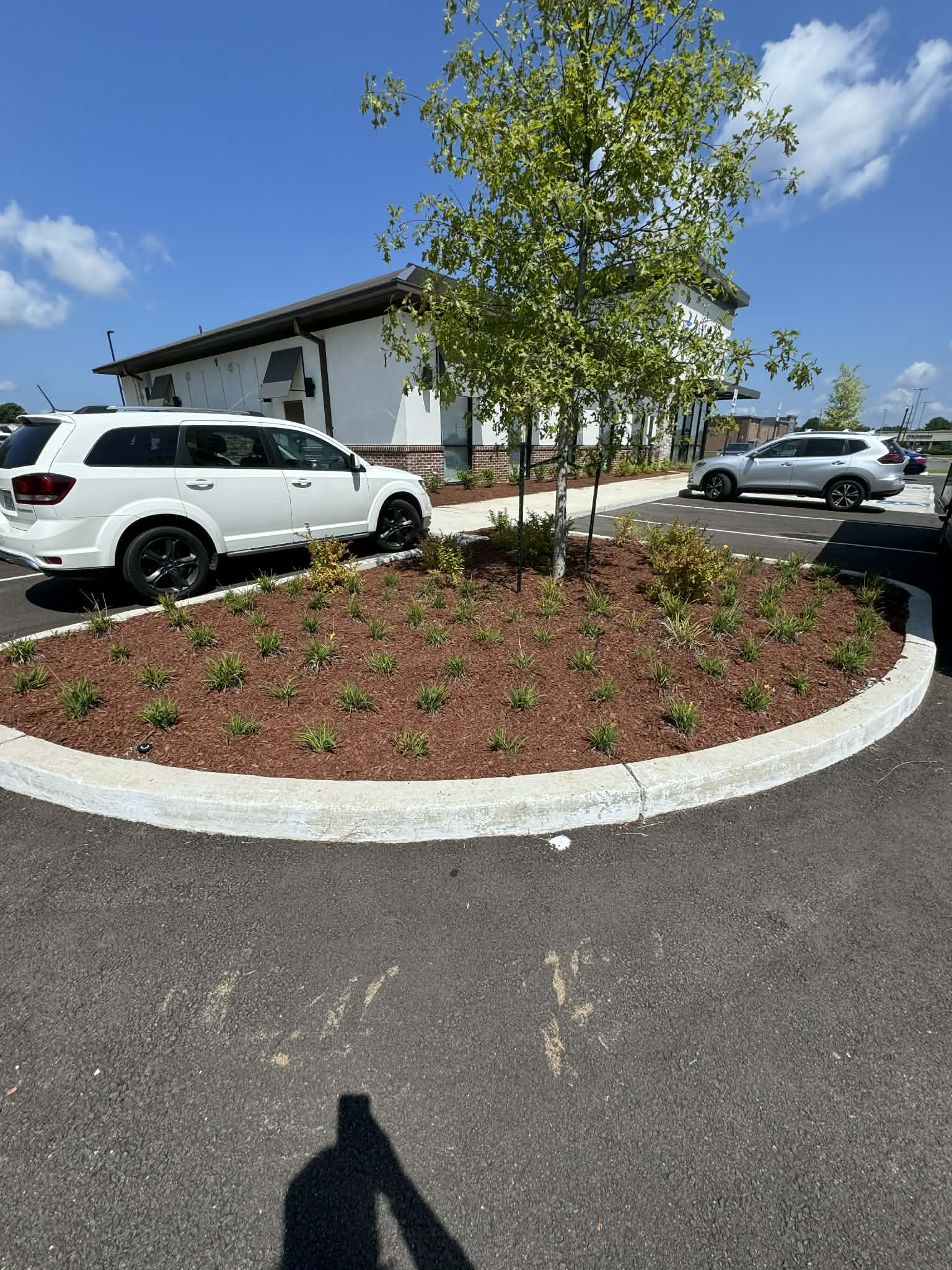 Commercial Parking Lot Landscaping