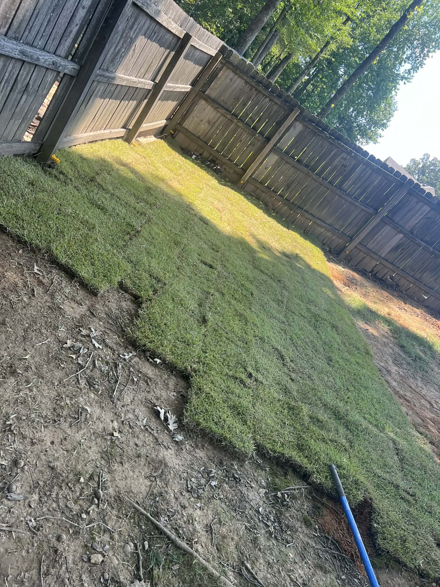 New Sod Installation